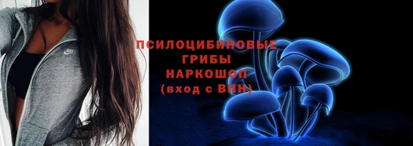 СК Беломорск
