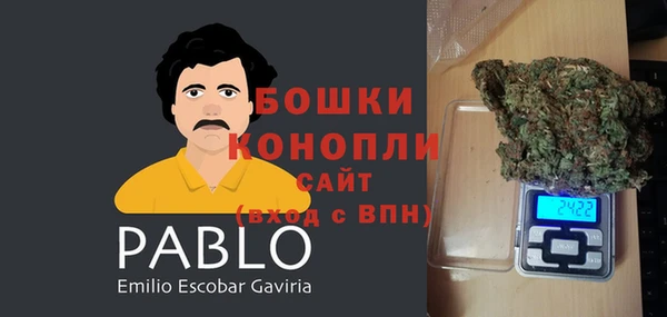 дурь Белокуриха
