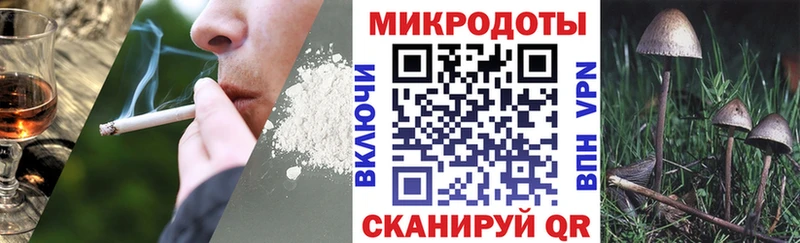 Псилоцибиновые грибы мухоморы Маркс